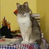 Отзыв от Жанна Белоусова